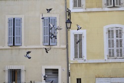 in Marseilles, streets and ancient buildings, light colors and flying birds 