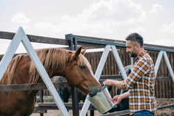 side view of farmer holding bucket and feeding horse in stable