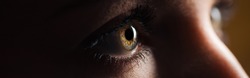 close up view of human brown eye looking away in dark, panoramic shot