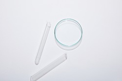Top view of laboratory petri dish and test tubes on grey background