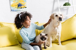 Curly girl smiling and stroking retriever, while sitting near siamese cat on yellow sofa, on blurred background