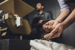 Close-up partial view of male brewery worker in apron inspecting bag with grains