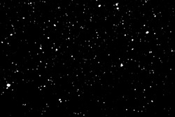 falling snow on a black background. snowfall at night. white spots on a black background