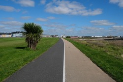 View towards Galway City, Ireland from the walking and cycle path to Salthill, with surrounding grassy fields and one tree on a sunny summer day