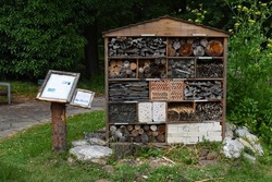 Insect hotels encourage biodiversity by providing shelter to a variety of critters