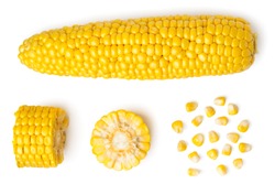 The peeled ear of corn, a piece of and seeds on a white, isolated. The view from the top.