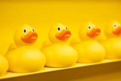 Yellow toy ducks in a row. On a yellow background.