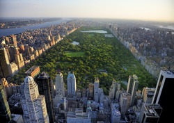 Manhattan Central park view from high position in the evening landscape