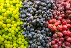 Green, purple, red grapes on market.