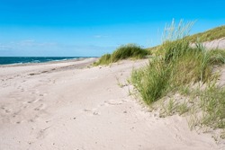 Untouched Beach of the Baltic Sea in Summer, Coastal Dunes with Beach Grass, Darss Peninsula, National Park, Germany