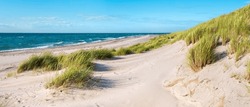 Panorama, Untouched Beach of the Baltic Sea in Summer, Coastal Dunes with Beach Grass, Darss Peninsula, National Park, Germany