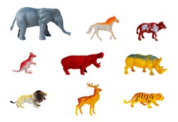 collection animals concept model toy on white background.