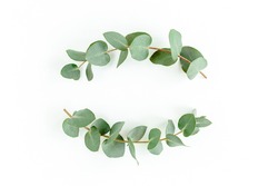 Wreath frame made of branches eucalyptus and leaves isolated on white background. Flat lay, top view