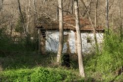 An extremely old primitive water mill, which is slowly collapsing on its own, is located in the forest and overgrown with bushes and trees on a sunny spring day