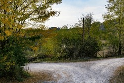 An intersection of gravel roads within the village, surrounded by beautiful trees and bushes adorned with golden autumn colors. Its a gloomy autumn day, and the road is empty