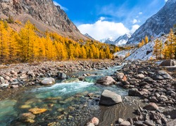 Mountain river stream valley in autumn scene. River creek in mountain valley