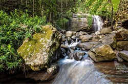 The stream of the forest waterfall. Forest waterfall stream. River waterfall in deep forest