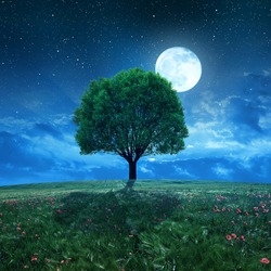 Wheat field and tree in night sky with moon. 