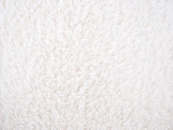 Background picture of a soft fur white carpet. wool sheep fleece closeup texture background. Fake color beige fur fabric. top view. 
