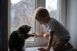 A child at home is sitting on the window with a gray cat.A child is playing with a cat. Grey cat, grey tones. Love for animals.
