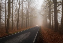 Car ride on wet, black ice road in freezy foggy forest. Transportation safety in bad weather concept