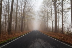 Wet, black ice road in freezy foggy forest. Transportation safety in bad weather concept