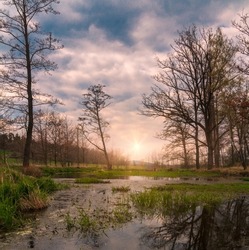 Small pond with grass and tress at sunset. Spring sunset czech landscape