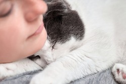 Cute cat sleeping next to a woman, the theme of love for pets, close-up.