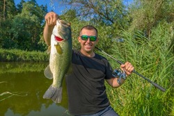 Bass fishing. Big bass fish in hands of pleased fisherman. Largemouth perch at pond