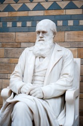 Statue of Charles Darwin in Natural History Museum. London, United Kingdom.