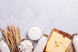 Shavuot flat lay with dairy products and wheat on light gray background, Happy Shavuot web banner. Jewish Shavuot holiday frame with dairy foods, top view