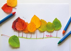 Children's picture made from autumn leaves with pencil drawing on paper