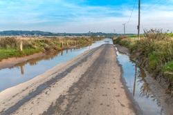 Road flooded by the tide. On the sides of the meadow. Thornham, UK, England.