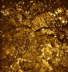 Sand close up. Gold Backgrounds. Abstract texture. Gold texture. Rough structure mineral. Rock texture. Gold Ore. Rock backgrounds. Stone background. Yellow space. Foil