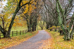 Countryside narrow rural winding paved road leading to Ash Lawn-Highland, Home of President James Monroe in Albemarle County, Virginia in autumn fall