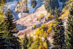 Aspen, Colorado buttermilk ski slope hill peak in rocky mountains on sunny day with snow on yellow foliage autumn or winter trees closeup