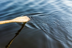 Closeup of oar paddle from row boat moving in water on green lake with ripples