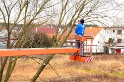 Man on aerial platform pruning branches of tree with chainsaw 