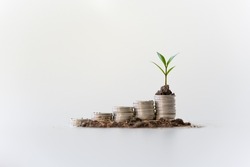 Saving money in progress like plant growing represent the more amount