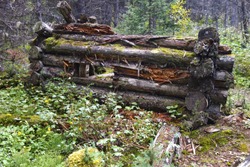 Ruins of old log cabin in forest hiking trail from bygone days of Kananaskis Country, Canadian Rocky Mountains