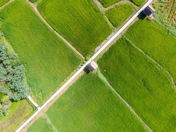 Aerial view green field Top down view background