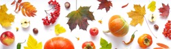 Banner of autumn yellow, orange and red maple leaves, vegetables and fruits isolated on white background, top view, flat layout. Creative pattern, autumn background. Pumpkins on a white background.
