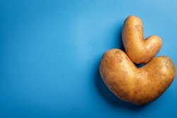 Heart shaped ugly potatos on blue background. Ugly vegetables