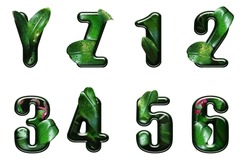 Leaf font Y , Z i AND NUMBERS solated on white background. Leafs font A,B,C made of Real alive leaves . Leafs font