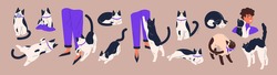 Cat's body language. Feline behavior and feelings. Cute pets with angry, friendly, calm, playful and scared emotions. Kittens relaxing, asking for food and lying belly up. Flat vector illustration