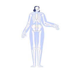Human skeleton scheme. Body anatomy, anterior skeletal structure. Internal system with bones, skull, ribs, pelvis in abstract silhouette. Flat graphic vector illustration isolated on white background