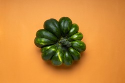 Top view of green pumkin on the orange background.Empty space