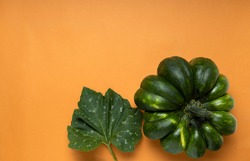 Top view of green ripe and raw pumkin, leaf on the empty orange surface
