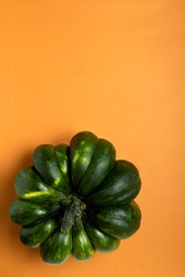 Vertical image of green pumkin on the empty orange background.Empty space