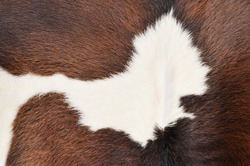 horse fur